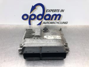 Gebruikte Computer Motormanagement Volkswagen Polo V (6R) 1.2 TDI 12V BlueMotion Prijs € 180,00 Margeregeling aangeboden door Gebr Opdam B.V.
