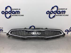 Gebruikte Grille Kia Picanto (TA) 1.2 16V Prijs € 68,00 Margeregeling aangeboden door Gebr Opdam B.V.