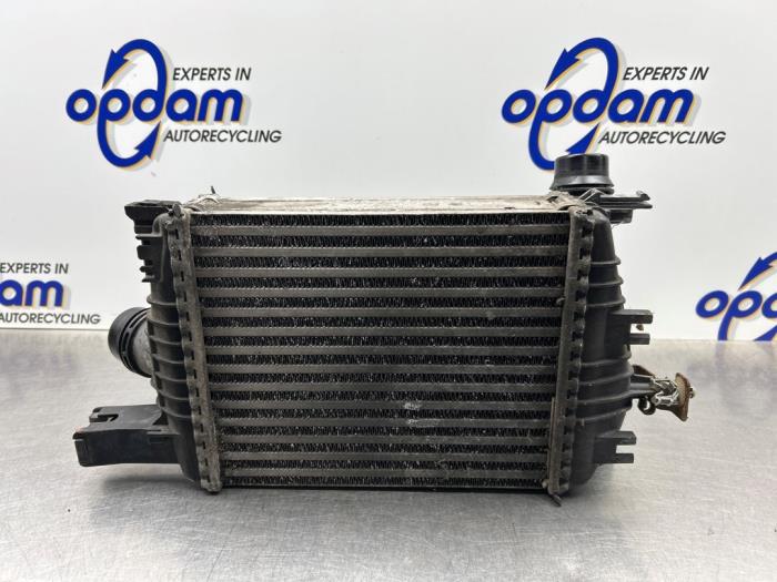 Gebruikte Intercooler Renault Clio IV Estate/Grandtour (7R) 1.5 Energy dCi 90 FAP Prijs € 70,00 Margeregeling aangeboden door Gebr Opdam B.V.