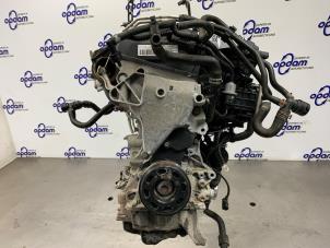 Gebruikte Motor Seat Leon (5FB) 1.4 TSI 16V Prijs € 1.000,00 Margeregeling aangeboden door Gebr Opdam B.V.