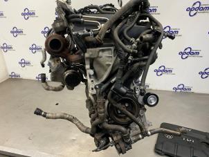 Gebruikte Motor Volkswagen Polo V (6R) 1.4 TDI 12V 90 Prijs € 2.000,00 Margeregeling aangeboden door Gebr Opdam B.V.