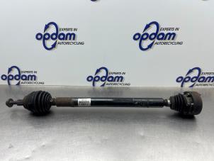 Gebruikte Aandrijfas rechts-voor Skoda Octavia Combi (1Z5) 1.6 FSI 16V Prijs € 50,00 Margeregeling aangeboden door Gebr Opdam B.V.