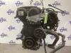 Ford Fiesta 6 (JA8) 1.25 16V Motor