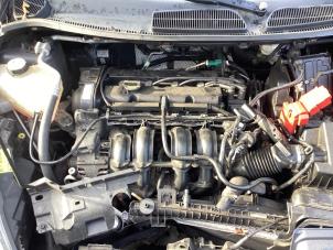 Gebruikte Motor Ford Fiesta 6 (JA8) 1.25 16V Prijs € 650,00 Margeregeling aangeboden door Gebr Opdam B.V.