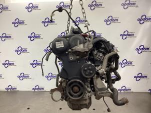 Gebruikte Motor Ford Focus 2 Wagon 1.6 16V Prijs € 800,00 Margeregeling aangeboden door Gebr Opdam B.V.