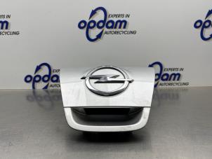 Gebruikte Handgreep Achterklep Opel Astra J (PC6/PD6/PE6/PF6) 1.4 Turbo 16V Prijs € 35,00 Margeregeling aangeboden door Gebr Opdam B.V.
