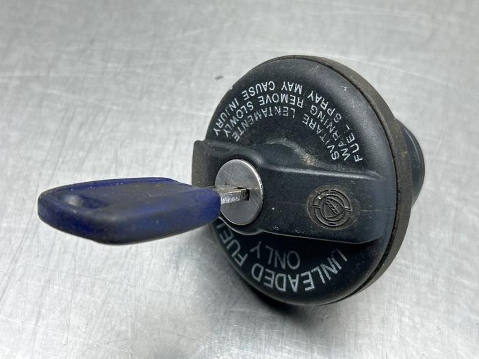 Slotenset Cilinder (compleet) van een Fiat Panda (169) 1.2 Fire 2004