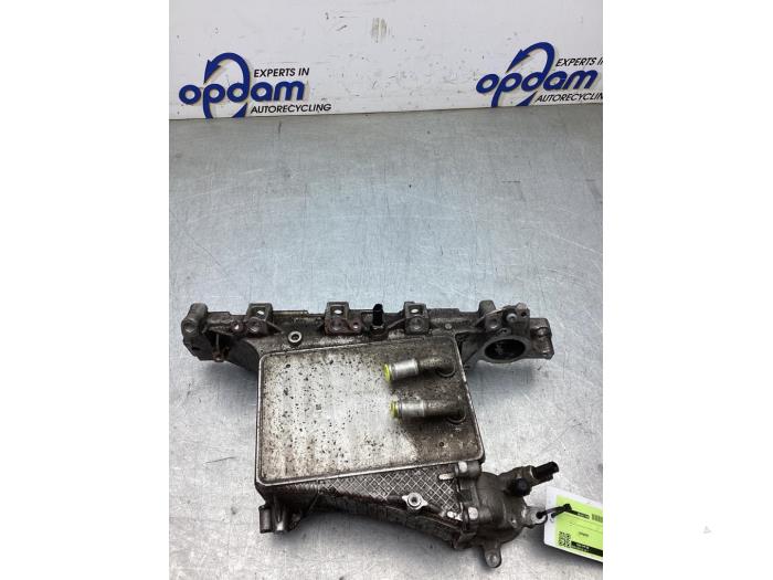 Gebruikte Spruitstuk Inlaat Volkswagen Polo VI (AW1) 1.6 TDI 16V 95 Prijs € 125,00 Margeregeling aangeboden door Gebr Opdam B.V.