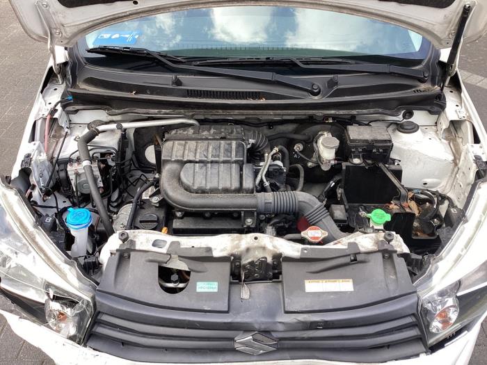 Gebruikte Motor Suzuki Celerio (LF) 1.0 12V Dualjet Prijs € 500,00 Margeregeling aangeboden door Gebr Opdam B.V.