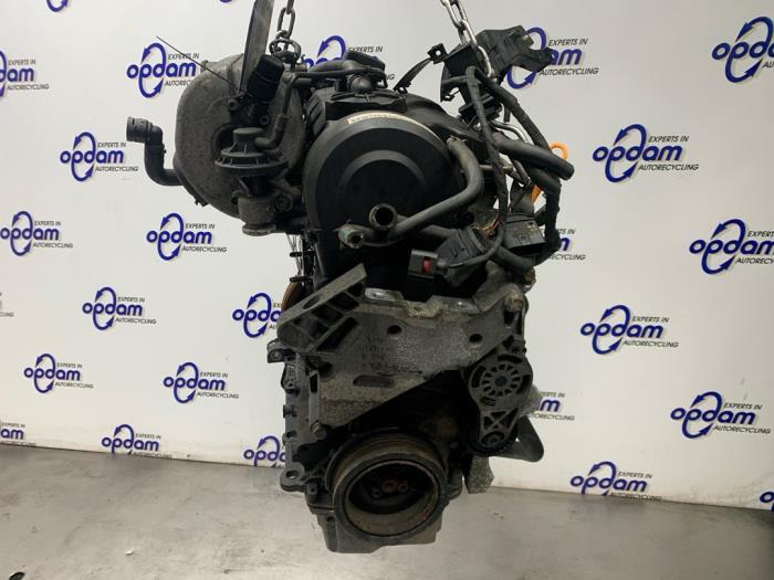 Gebruikte Motor Volkswagen Caddy III (2KA,2KH,2CA,2CH) 2.0 SDI Prijs € 500,00 Margeregeling aangeboden door Gebr Opdam B.V.