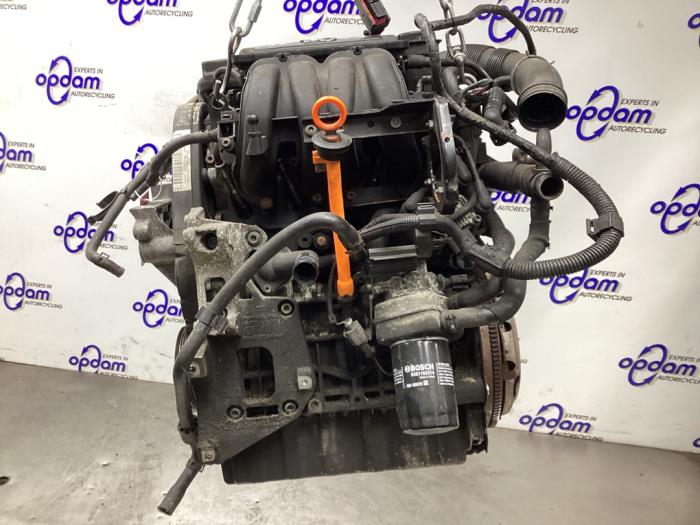 Gebruikte Motor Volkswagen Golf V (1K1) 1.6 Prijs € 400,00 Margeregeling aangeboden door Gebr Opdam B.V.