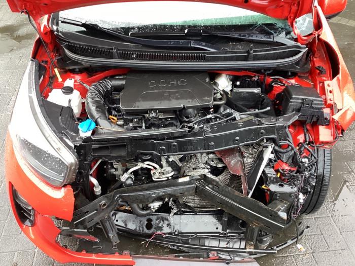 Gebruikte Motor Kia Picanto (JA) 1.0 12V Prijs € 950,00 Margeregeling aangeboden door Gebr Opdam B.V.