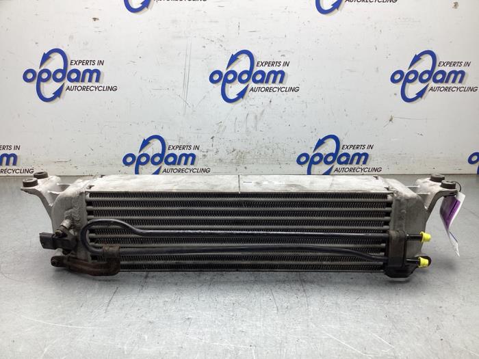 Gebruikte Intercooler Hyundai H-300 2.5 CRDi Prijs € 100,00 Margeregeling aangeboden door Gebr Opdam B.V.