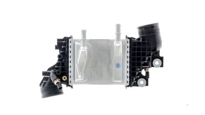 Nieuwe Intercooler Volkswagen Crafter Prijs € 393,25 Inclusief btw aangeboden door Gebr Opdam B.V.