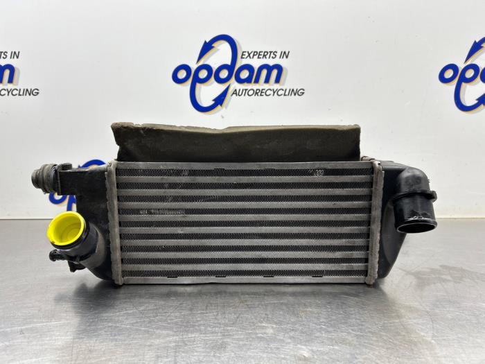 Gebruikte Intercooler Fiat 500 (312) 0.9 TwinAir 80 Prijs € 50,00 Margeregeling aangeboden door Gebr Opdam B.V.