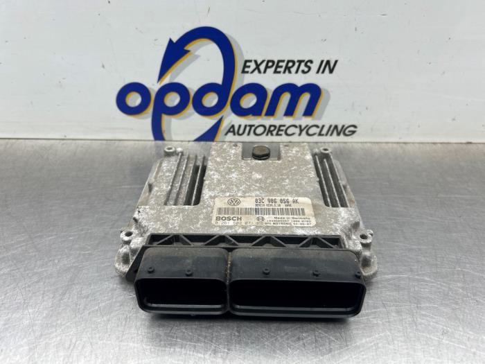 Gebruikte Computer Motormanagement Volkswagen Golf V (1K1) 1.6 FSI 16V Prijs € 125,00 Margeregeling aangeboden door Gebr Opdam B.V.