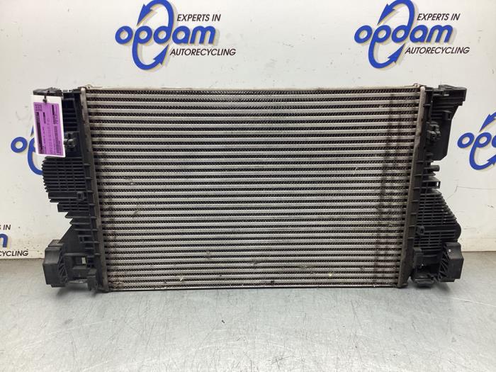 Gebruikte Radiateur Mercedes A (177.0) 1.3 A-180 Turbo 16V Prijs € 200,00 Margeregeling aangeboden door Gebr Opdam B.V.
