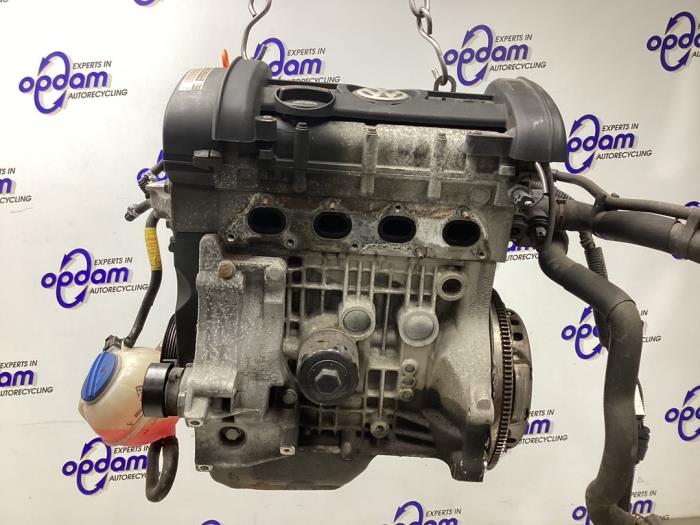 Gebruikte Motor Volkswagen Polo IV (9N1/2/3) 1.4 16V Prijs € 550,00 Margeregeling aangeboden door Gebr Opdam B.V.