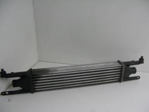 Gebruikte Intercooler Fiat Punto Evo (199) 1.3 JTD Multijet 85 16V Euro 5 Prijs op aanvraag aangeboden door Gebr Opdam B.V.