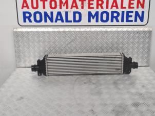 Gebruikte Intercooler Opel Mokka/Mokka X 1.6 CDTI 16V 4x2 Prijs € 95,00 Margeregeling aangeboden door Automaterialen Ronald Morien B.V.