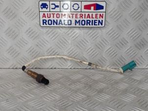 Gebruikte Lambda Sonde Ford Focus 3 1.6 Ti-VCT 16V 125 Prijs € 20,00 Margeregeling aangeboden door Automaterialen Ronald Morien B.V.