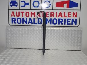 Gebruikte Gasdemper rechts-achter Audi Q2 Prijs € 175,45 Inclusief btw aangeboden door Automaterialen Ronald Morien B.V.