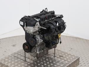 Gebruikte Motor Ford Ka+ 1.2 Prijs € 1.350,00 Margeregeling aangeboden door Automaterialen Ronald Morien B.V.
