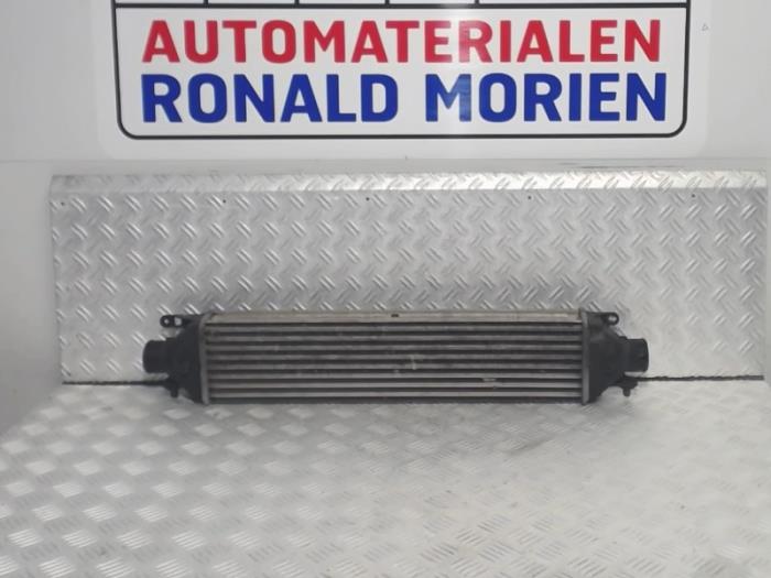 Gebruikte Intercooler Fiat Bravo (198A) 1.6 D Multijet 90 Prijs € 41,00 Margeregeling aangeboden door Automaterialen Ronald Morien B.V.