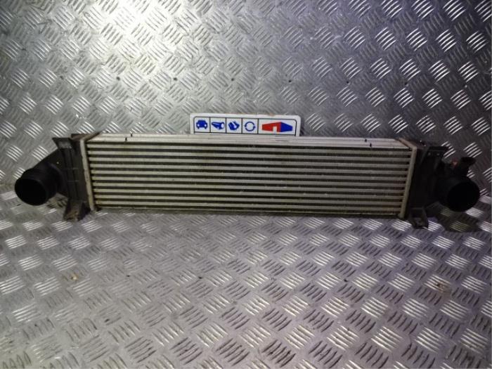 Gebruikte Intercooler Landrover Freelander II 2.2 sd4 16V Prijs € 118,00 Margeregeling aangeboden door Automaterialen Ronald Morien B.V.