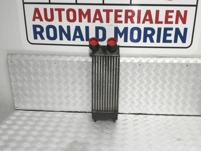 Gebruikte Intercooler Peugeot Partner Tepee (7A/B/C/D/E/F/G/J/P/S) 1.6 HDI 90 16V Phase 1 Prijs € 75,00 Margeregeling aangeboden door Automaterialen Ronald Morien B.V.