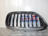 BMW 5 serie Touring (G31) 523d 2.0 TwinPower Turbo 16V Grille