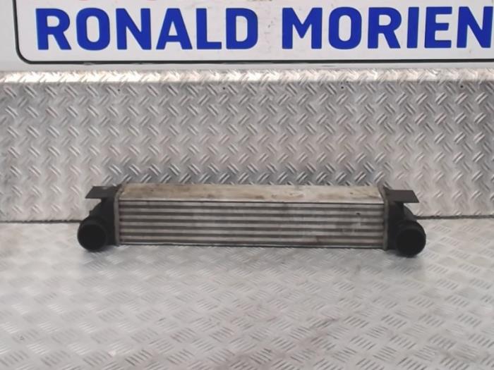 Gebruikte Intercooler BMW 5 serie (E39) 525d 24V Prijs € 90,00 Margeregeling aangeboden door Automaterialen Ronald Morien B.V.