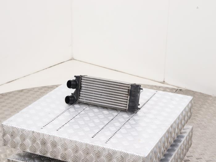Gebruikte Intercooler Citroen Berlingo 1.6 Hdi 75 Prijs € 34,99 Inclusief btw aangeboden door Automaterialen Ronald Morien B.V.