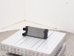 Gebruikte Intercooler Citroen Berlingo 1.6 Hdi 75 Prijs € 34,99 Inclusief btw aangeboden door Automaterialen Ronald Morien B.V.