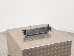 Gebruikte Radiateur Citroen DS5 (KD/KF) 2.0 165 HYbrid4 16V Prijs € 35,00 Margeregeling aangeboden door Automaterialen Ronald Morien B.V.