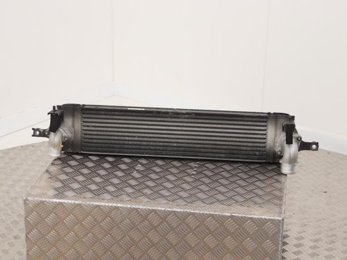 Gebruikte Intercooler Renault Koleos I 2.0 dCi 16V Prijs € 95,00 Margeregeling aangeboden door Automaterialen Ronald Morien B.V.