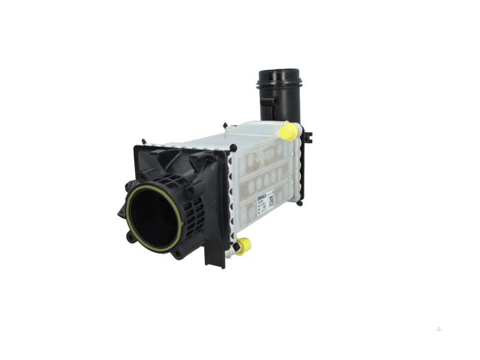 Volkswagen Golf Intercoolers voorraad Onderdelenlijn.nl