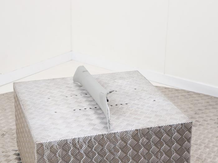 A-stijl Afdekkap links van een MG ZS EV 2020