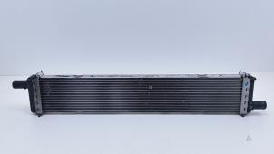 Gebruikte Radiateur Renault Clio V (RJAB) 1.6 E-Tech 145 16V Prijs € 124,99 Inclusief btw aangeboden door Automaterialen Ronald Morien B.V.