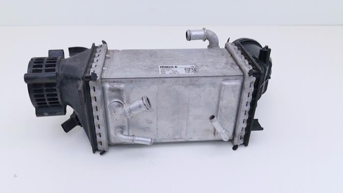 Gebruikte Intercooler Volkswagen Golf VII (AUA) 1.5 TSI Evo BMT 16V Prijs € 49,00 Margeregeling aangeboden door Automaterialen Ronald Morien B.V.