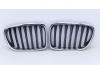 BMW X1 (E84) sDrive 20i 2.0 16V Twin Power Turbo Grille