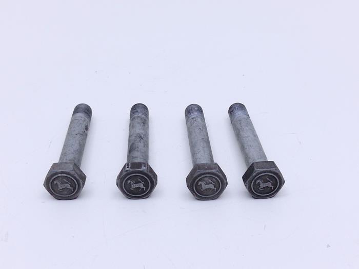 Gebruikte Bouten set Ferrari Maranello 550 48V Prijs € 29,00 Margeregeling aangeboden door Automaterialen Ronald Morien B.V.