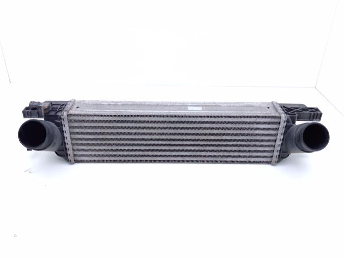 Gebruikte Intercooler Ford Usa Mustang VI Fastback 2.3 EcoBoost 16V Prijs € 125,00 Margeregeling aangeboden door Automaterialen Ronald Morien B.V.