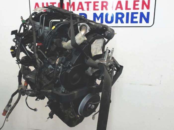 Gebruikte Motor Ford Fiesta 6 (JA8) 1.6 TDCi 16V 90 Prijs € 1.150,00 Margeregeling aangeboden door Automaterialen Ronald Morien B.V.