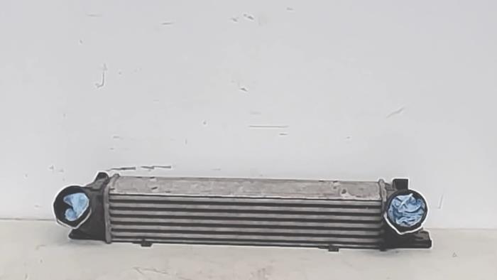 Gebruikte Intercooler BMW 1 serie (E87/87N) 120d 16V Prijs € 75,00 Margeregeling aangeboden door Automaterialen Ronald Morien B.V.