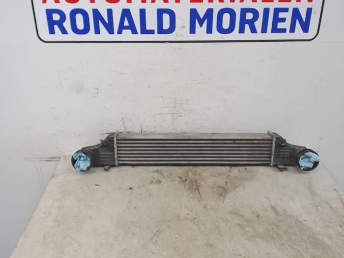 Gebruikte Intercooler Mercedes E (W211) 2.2 E-220 CDI 16V Prijs € 150,00 Margeregeling aangeboden door Automaterialen Ronald Morien B.V.