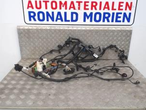 Gebruikte Kabelboom BMW 1 serie (F21) 116d 1.5 12V TwinPower Prijs € 80,00 Margeregeling aangeboden door Automaterialen Ronald Morien B.V.