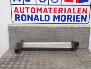 Gebruikte Intercooler Renault Megane III Coupe (DZ) 1.5 dCi 110 Prijs € 100,00 Margeregeling aangeboden door Automaterialen Ronald Morien B.V.