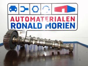 Gebruikte Nokkenas set Ford Focus 3 Wagon 1.0 Ti-VCT EcoBoost 12V 100 Van Prijs op aanvraag aangeboden door Automaterialen Ronald Morien B.V.