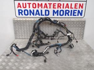 Gebruikte Elektrische Bedrading Compleet Ford Ecosport Prijs € 195,00 Margeregeling aangeboden door Automaterialen Ronald Morien B.V.